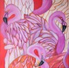 Flamingo - foto 2860